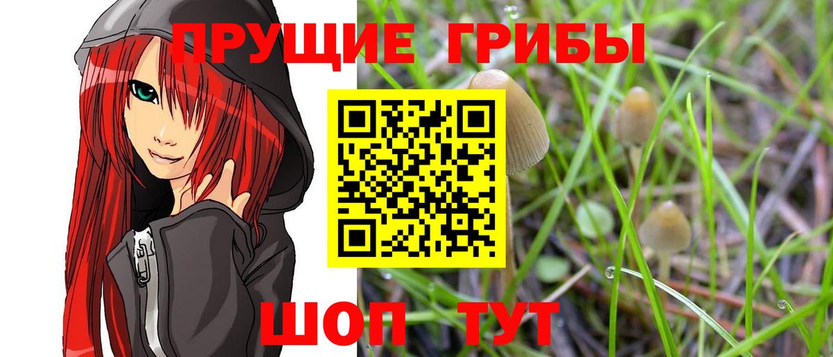 Миасс  Галлюциногенные грибы прущие грибы  Вход с VPN  Псилоцибиновые грибы MAGIC MUSHROOMS 